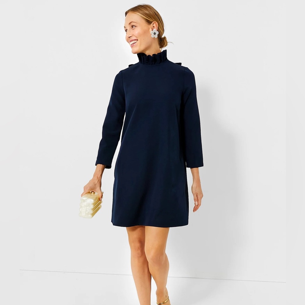 Tuckernuck Navy Ruffle Mock Neck Mini Dress